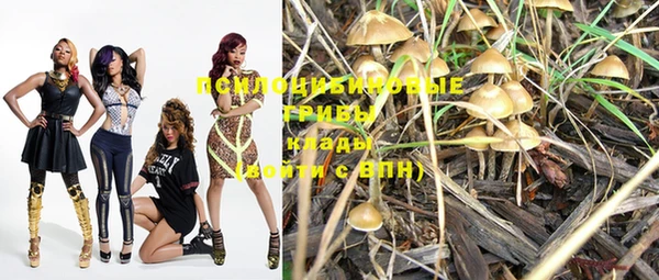 соль ск Покров