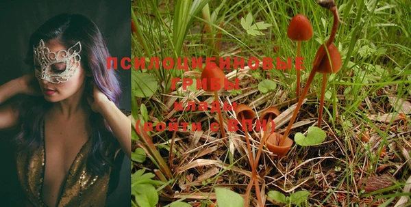 кокаин Покачи