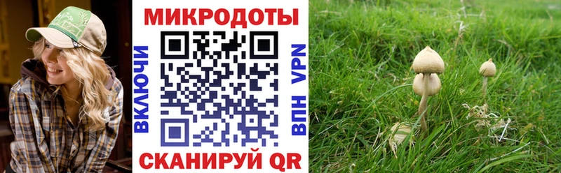 Купить  Тула  Псилоцибиновые грибы Magic Shrooms 